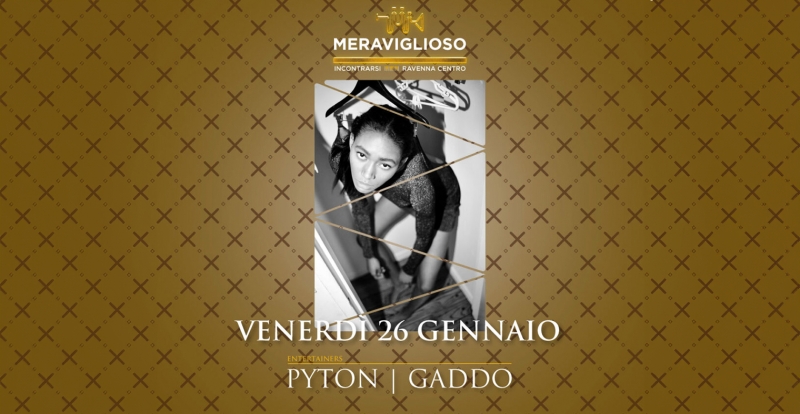MERAVIGLIOSO: Pyton & Gaddo