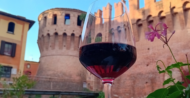 Di vino in vino