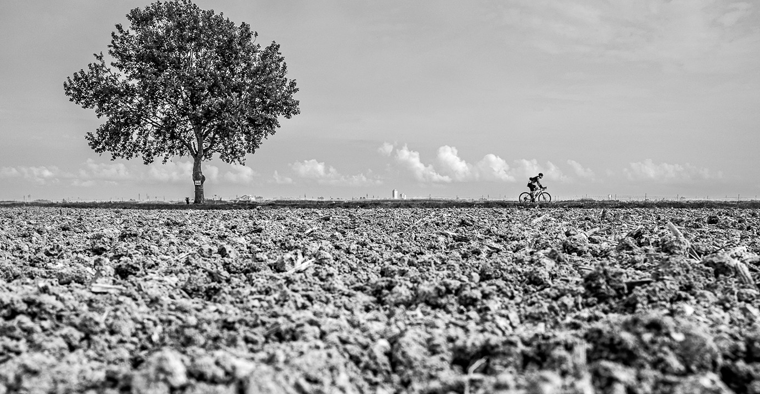 Strade Bianche del Sale