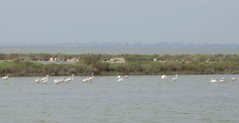 Natura a due passi