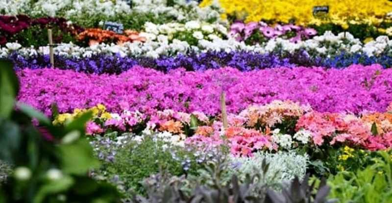 Fiera della domenica di Primavera