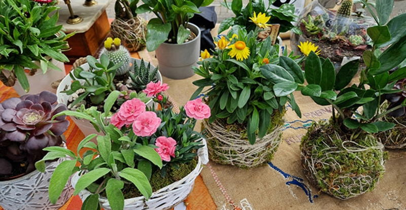 Mercatini di primavera