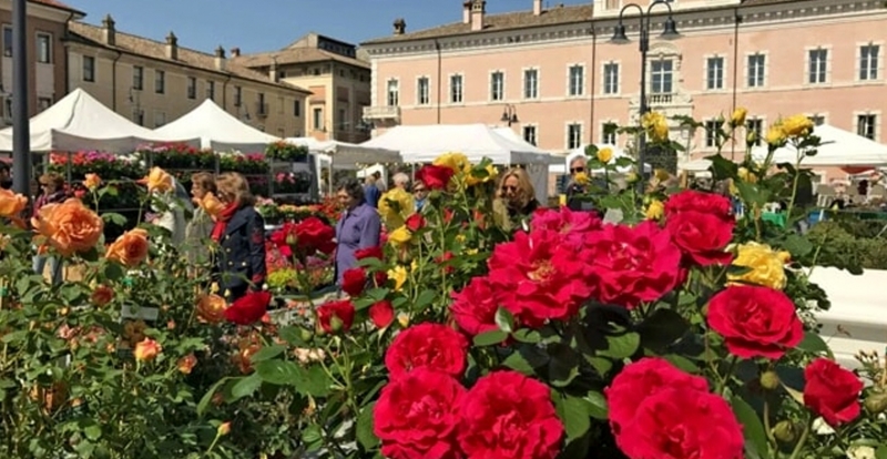 Ravenna in fiore
