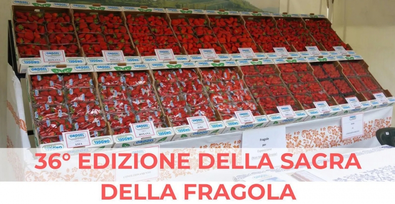 36° Sagra della Fragola
