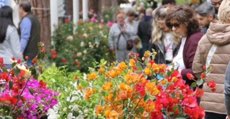 Cattolica in fiore