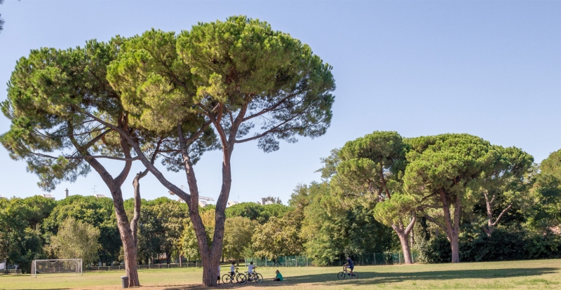 Il posto delle favole