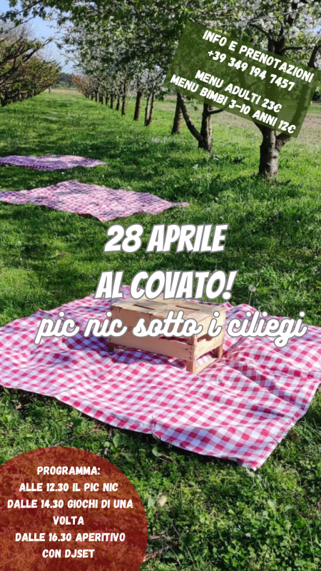 Pic nic sotto ai ciliegi