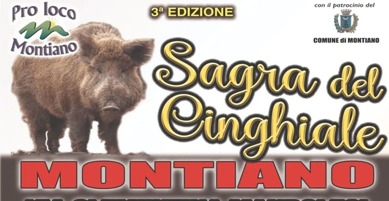 Sagra del Cinghiale