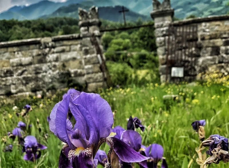 Altrove in Memoria, un rito teatrale tra natura e memoria