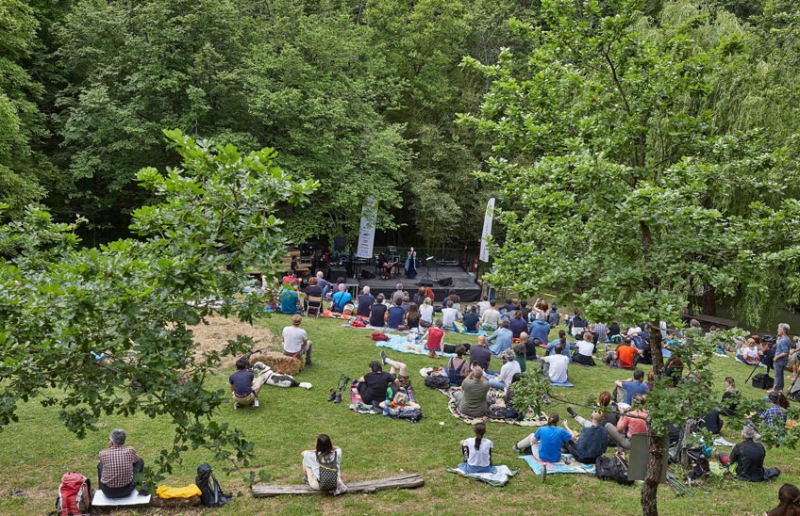 Il bosco delle cometePaolo Benvegnùin concerto