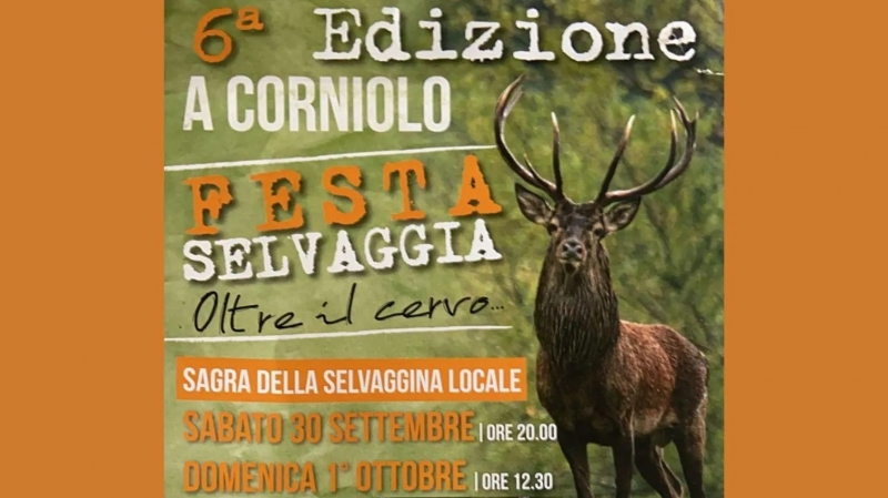 Festa Selvaggia