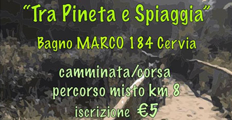 Tra Pineta e Spiaggia