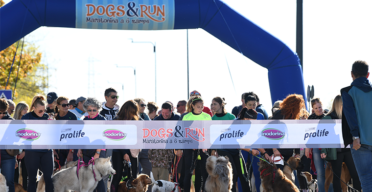 Dogs & Run Ravenna