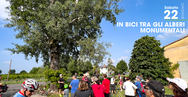 Lugo Music Festival: IN BICI TRA GLI ALBERI MONUMENTALI