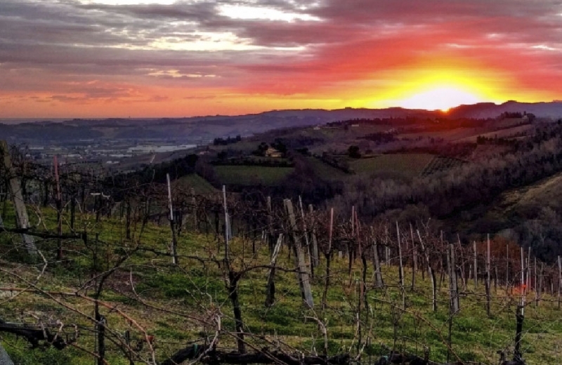 Theatro in Cantina a Bertinoro, degustazione e spettacolo al Podere Baratta