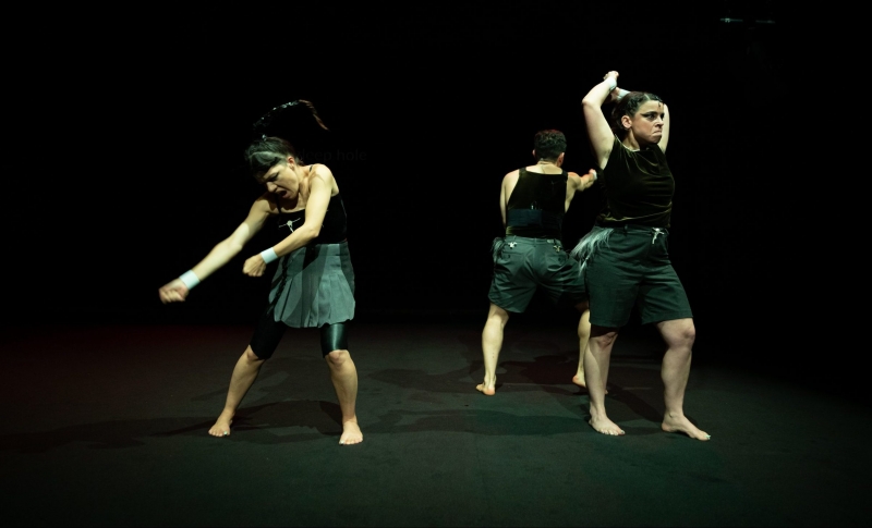Michelle Moura | Lessons for Cadavers