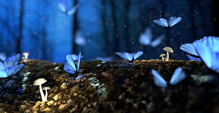 Tessere i sogni
