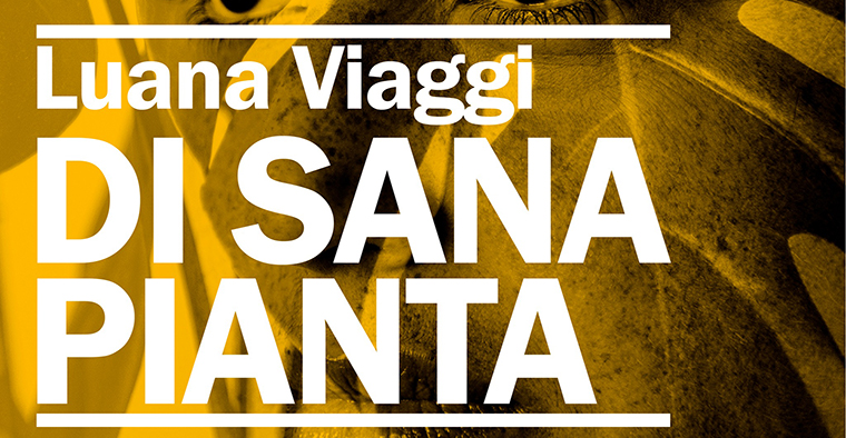 Di sana pianta