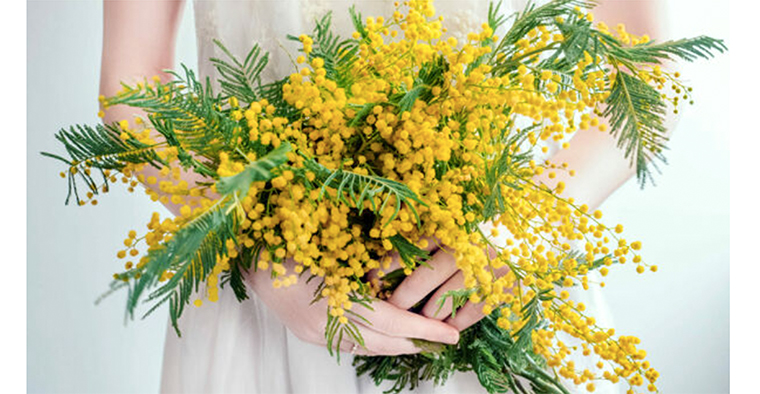 Alfonsine: Festa della donna 